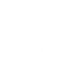6G Networks Icon